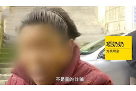 宾阳为什么选择专业追讨公司来处理您的债务纠纷？